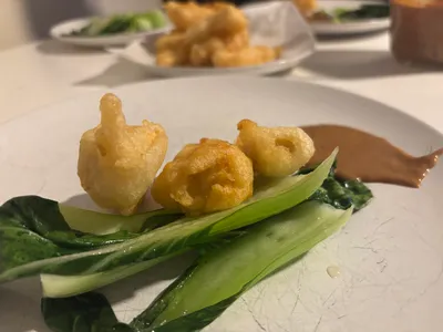 Tofu Tempora
