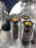 Plants indoors under grow light