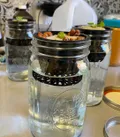 Seedlings in jars